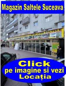 Magazin de Saltele. Oferim clienților toate tipurile de saltele la cel mai bun preț disponibil pe piața.