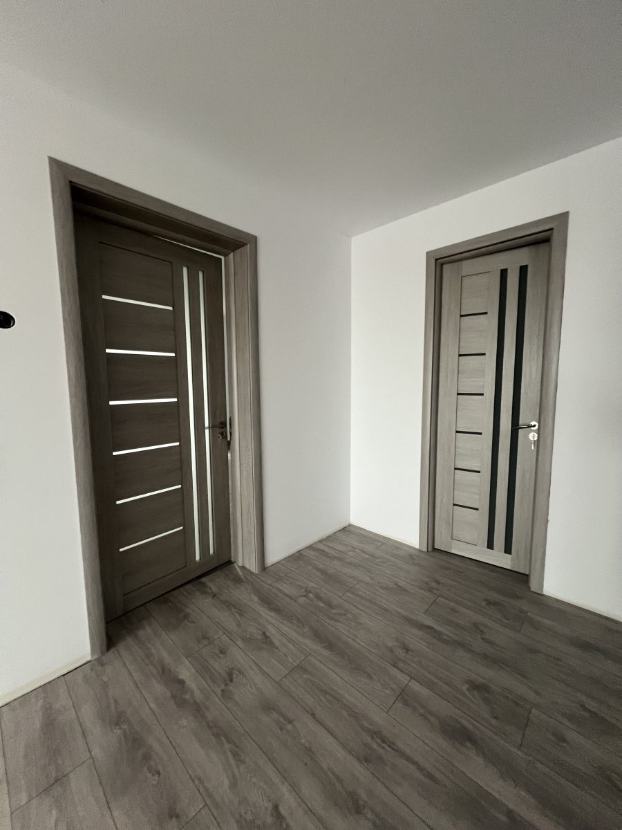 Usi interior Iasi gri s1 017